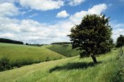 The Yorkshire Wolds Way runs along a grassy brow as it heads for Huggate.