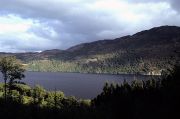 A glimpse of Loch Ness from the forested slopes alongside it.