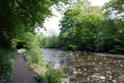 Easy walking beside the River Allen on the way from Allen Banks to Bardon Mill.