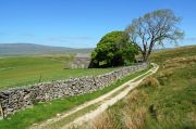 Approaching Ling Gill in the Yorkshire Dales