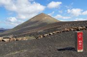 Black ash landscape at La Geria on Lanzarote